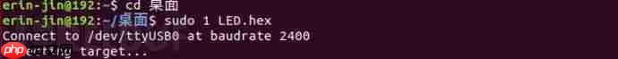 在Linux下烧录51单片机