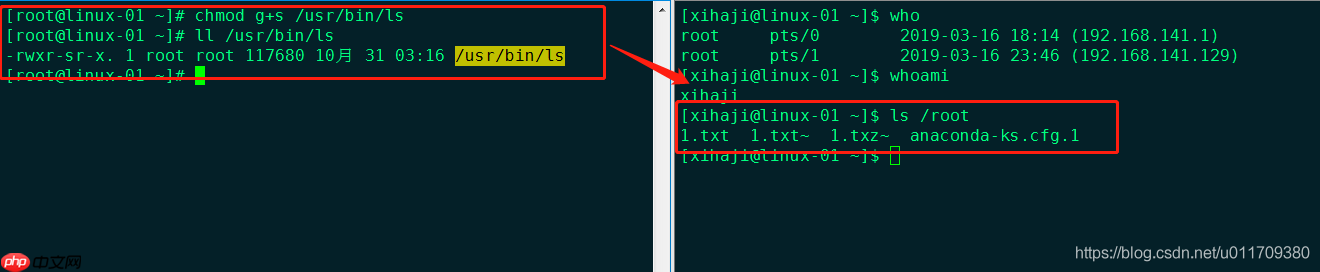 学习笔记0319----linux基本命令（二）（文件管理）