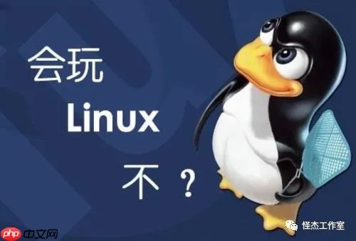 查看Linux系统版本信息