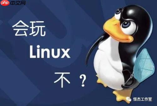 查看Linux系统版本信息