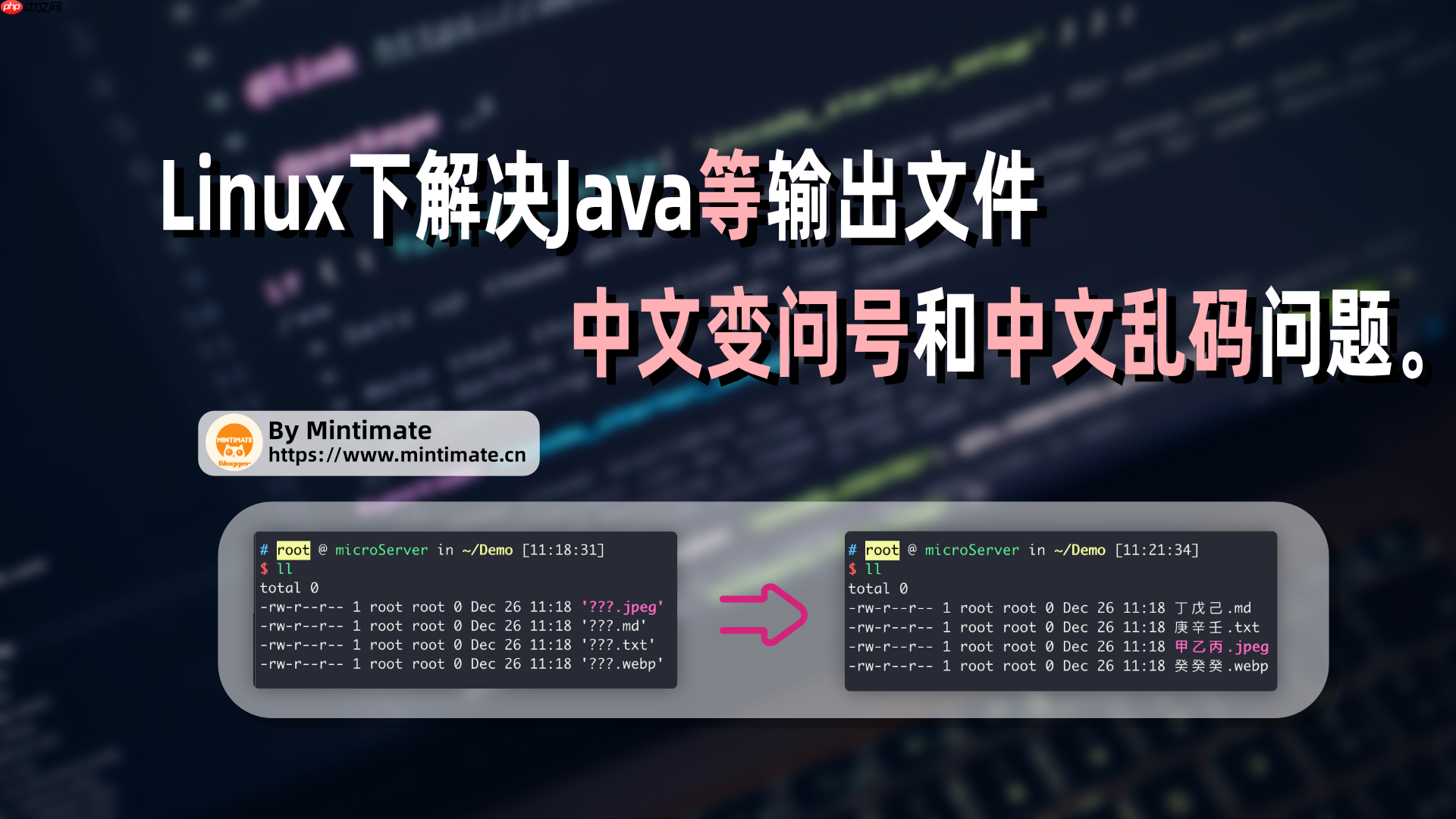 解决Linux下中文变问号/乱码问题,解决Java等程序无法保存中文文件名、中文文件。