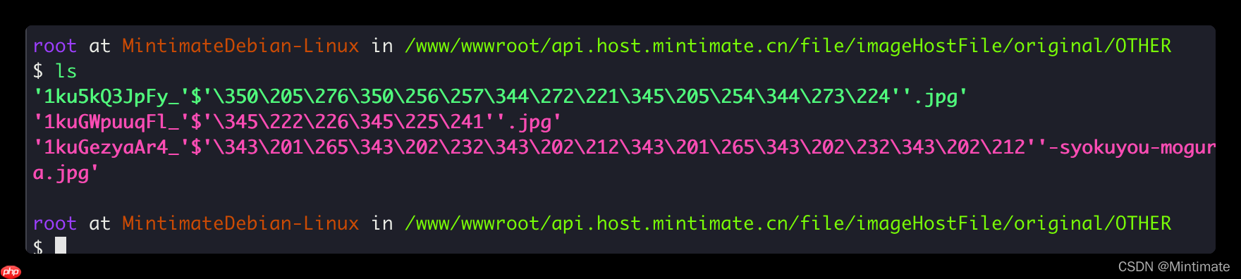 解决Linux下中文变问号/乱码问题，解决Java等程序无法保存中文文件名、中文文件。