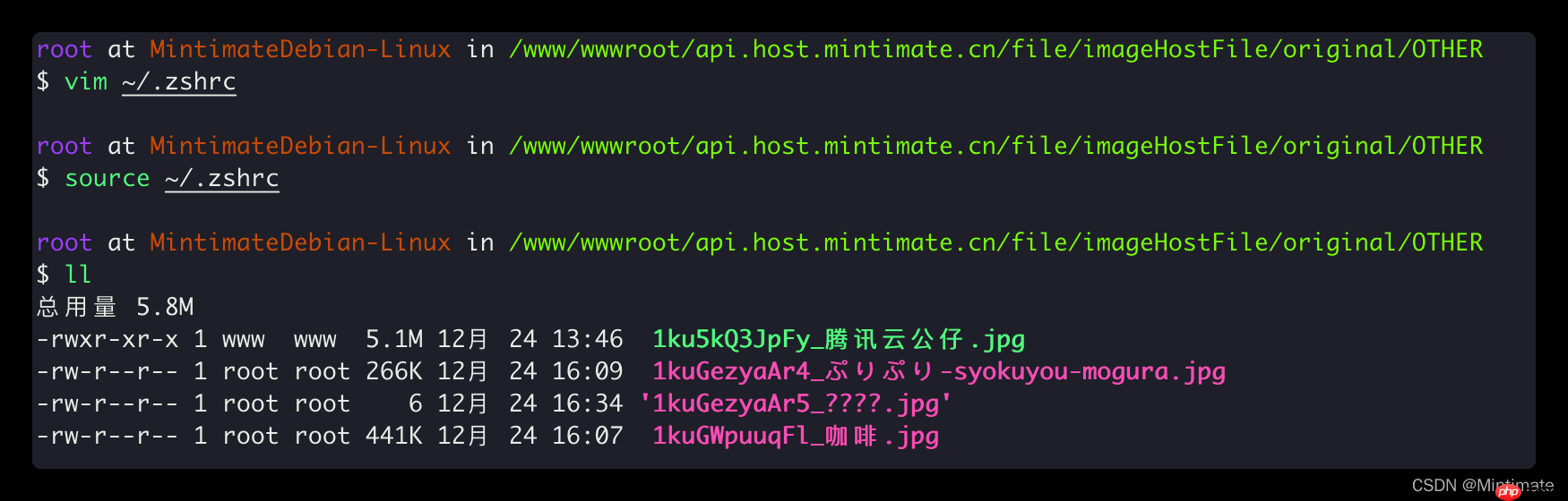 解决Linux下中文变问号/乱码问题，解决Java等程序无法保存中文文件名、中文文件。