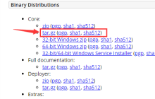 Linux系统安装tomcat7