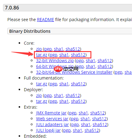 Linux系统安装tomcat7