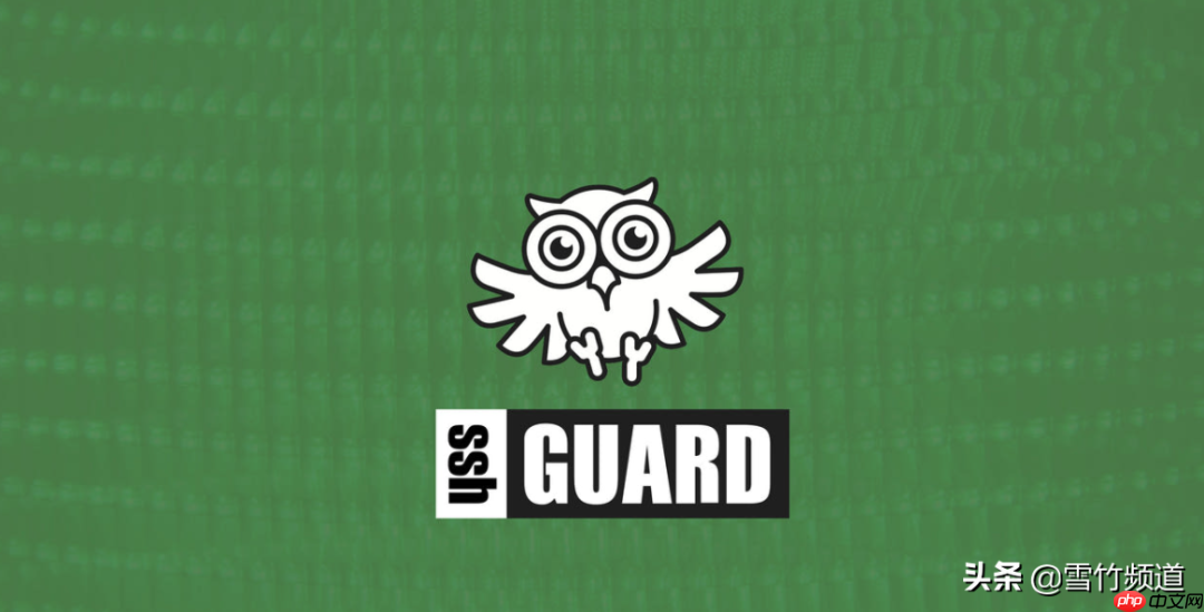 如何使用 SSHGUARD 阻止 SSH 暴力攻击