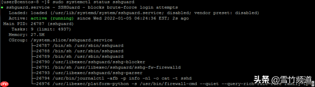 如何使用 SSHGUARD 阻止 SSH 暴力攻击