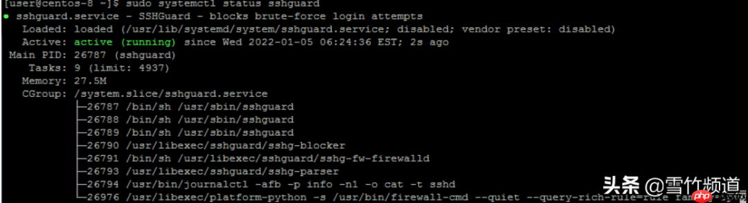 如何使用 SSHGUARD 阻止 SSH 暴力攻击