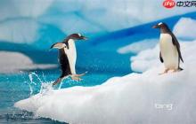 Linux日常使用技巧