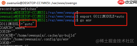 Ubuntu 基于Nginx1.8的Golang环境搭建(Ubuntu 20.04 + Nginx1.8 + Golang 1.17 )