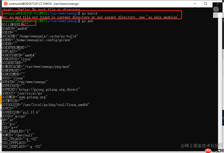 Ubuntu 基于Nginx1.8的Golang环境搭建(Ubuntu 20.04 + Nginx1.8 + Golang 1.17 )