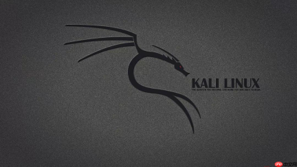 Kali Linux 2020.4 安装教程 超级详细 适合新手入门