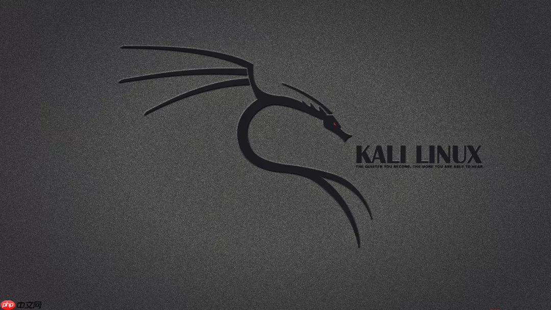 Kali Linux 2020.4 安装教程 超级详细 适合新手入门