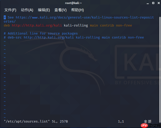 Kali Linux 2020.4 安装教程 超级详细 适合新手入门