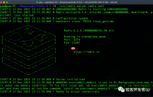redis入门知识第2篇-redis的安装与测试