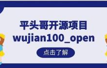 平头哥开源项目wujian100_open | 基于VCS+Verdi的仿真