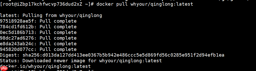 docker搭建青龙面板