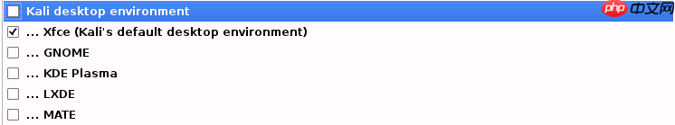 Kali Linux 安装过程 超详细(图文并茂,通用版)