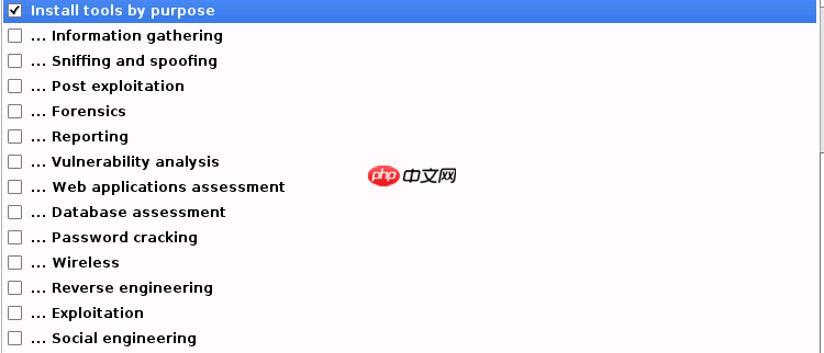 Kali Linux 安装过程 超详细(图文并茂,通用版)