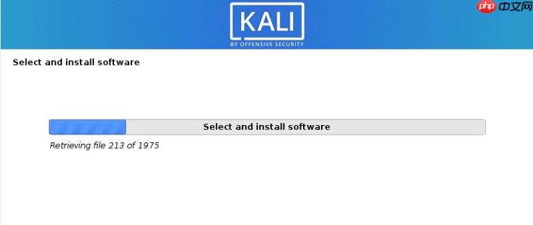Kali Linux 安装过程 超详细(图文并茂,通用版)