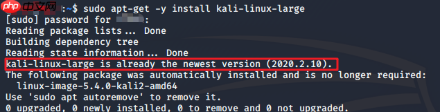 Kali Linux 安装过程 超详细(图文并茂,通用版)