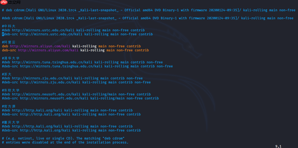 Kali Linux 安装过程 超详细(图文并茂,通用版)