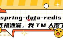 spring-data-redis 连接泄漏，我 TM 人傻了