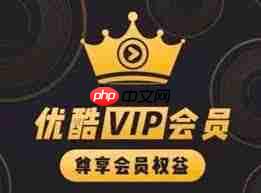 优酷VIP如何两人共用