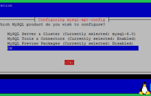 如何在Debian 10（Buster）Linux上安装MySQL