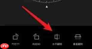 醒图如何进行镜像翻转