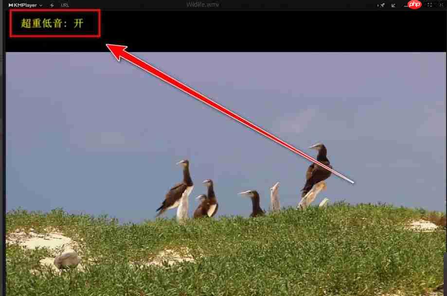 kmplayer怎么开启重低音？-kmplayer开启重低音的方法