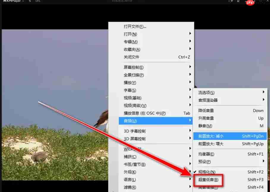 kmplayer怎么开启重低音？-kmplayer开启重低音的方法