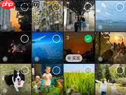 安卓手机能否查看朋友圈实况图