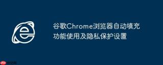 谷歌Chrome浏览器自动填充功能使用及隐私保护设置