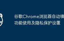 谷歌Chrome浏览器自动填充功能使用及隐私保护设置