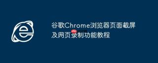 谷歌Chrome浏览器页面截屏及网页录制功能教程