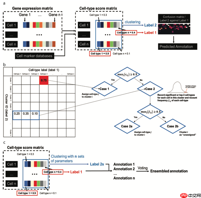 MACA: 一款自动注释细胞类型的工具