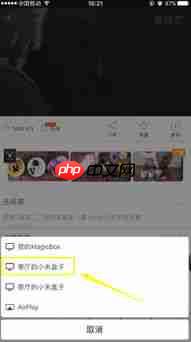 爱奇艺投屏问题