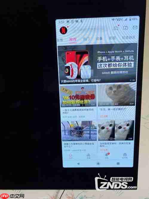 爱奇艺投屏问题