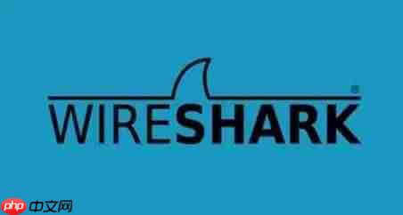 威而鲨（wireshark）之抓包鱼翅手