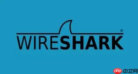 威而鲨(WireShark)之抓包鱼翅手