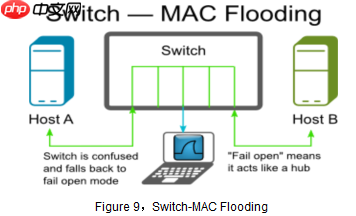 威而鲨（WireShark）之抓包鱼翅手