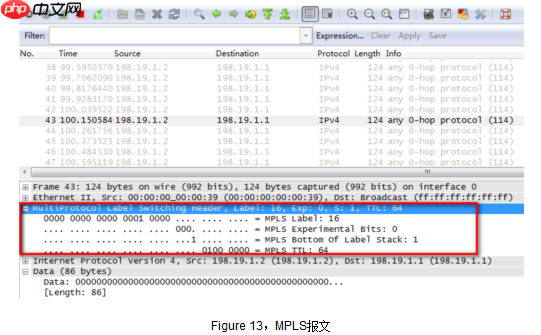 威而鲨（WireShark）之抓包鱼翅手