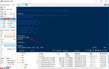 Debian 9 安装和配置VNC