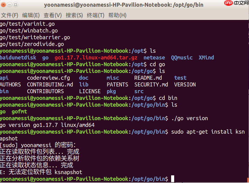 Linux下搭建Go开发环境(基于vscode)
