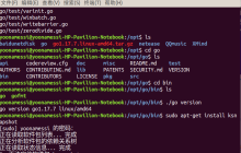 Linux下搭建Go开发环境(基于vscode)