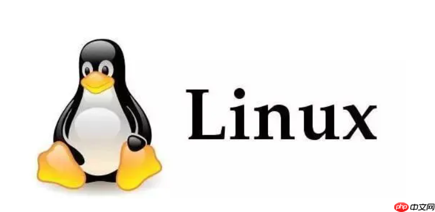 linux 入门指令