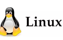 linux 入门指令