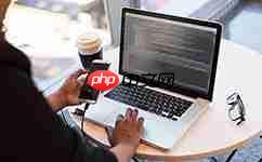 正在接入或无法接入认证服务器(服务器未运行怎么解决)